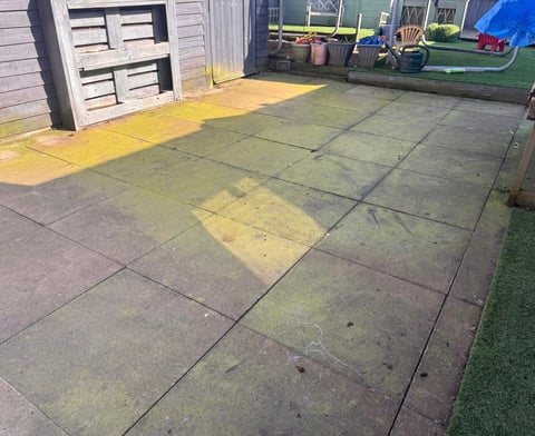 Driveway with moss and algae before cleaning